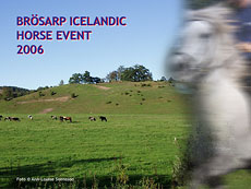 Brösarp Icelandic Horse Event 2006